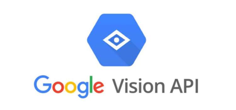 Google vision